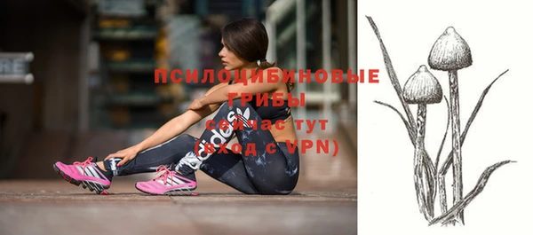 бошки Абаза