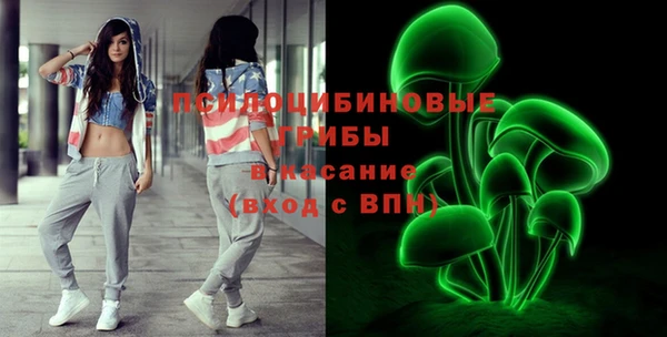 бошки Абаза